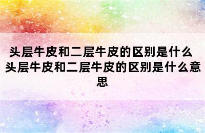 头层牛皮和二层牛皮的区别是什么 头层牛皮和二层牛皮的区别是什么意思